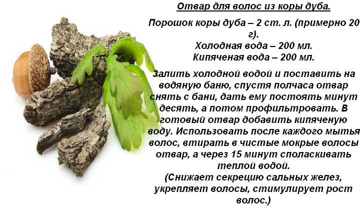 Кора дуба для волос: польза, рецепты масок и ополаскивателей
