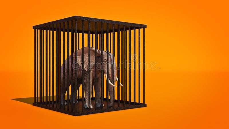 Группа cage the elephant - фото, история создания, состав, новости, песни 2022 - 24сми