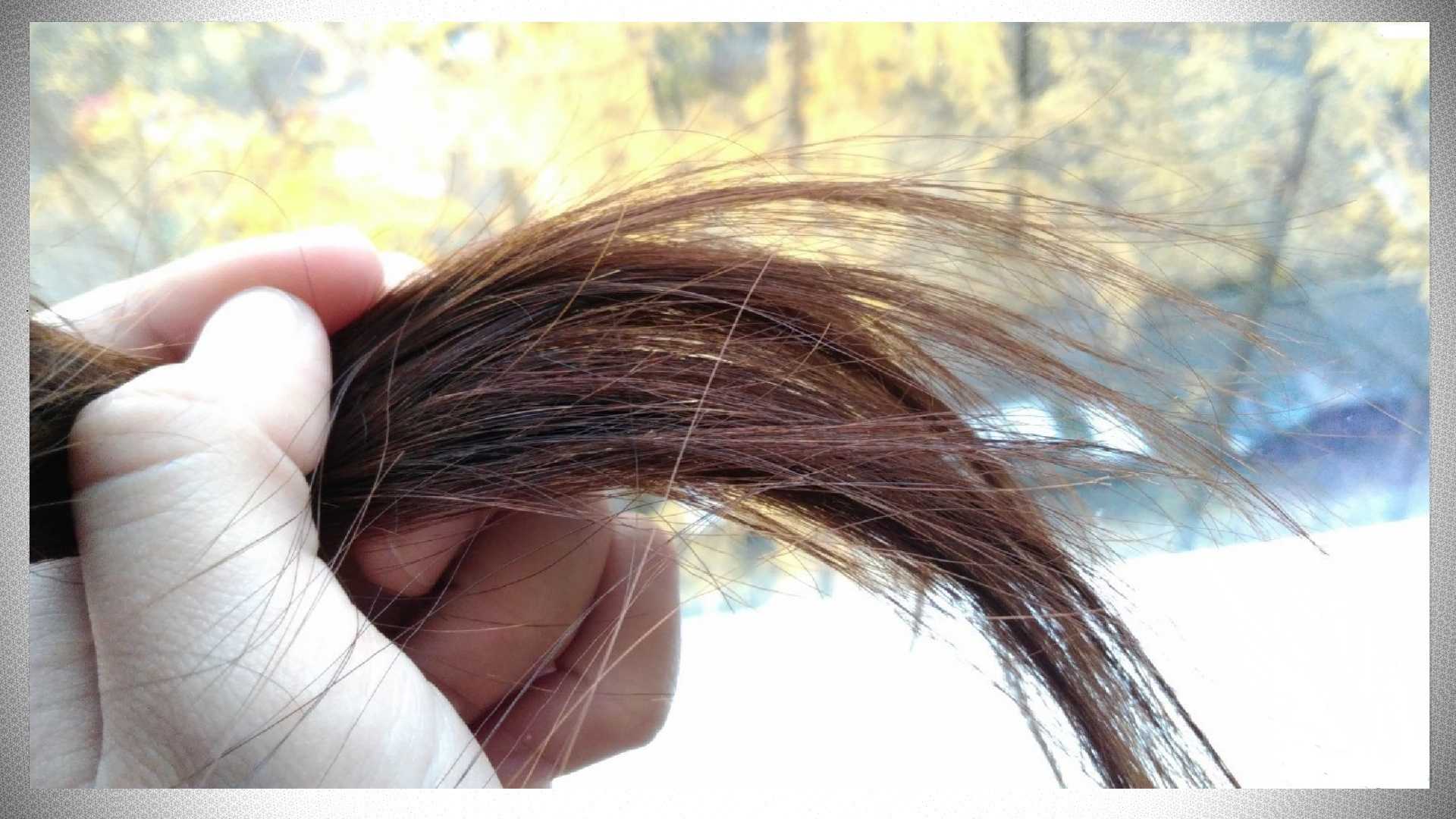 Какие волосы секутся. Сухие посеченные волосы. Секущиеся концы. Секущиеся волосы. Ломкие волосы.