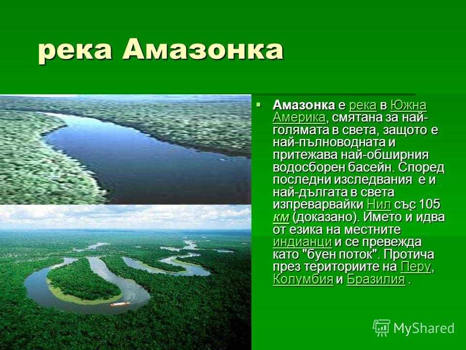 План описания реки амазонки география 7 класс. Проект река Амазонка. Река Амазонка география 7 класс. Река Амазонка презентация. Амазония информация.