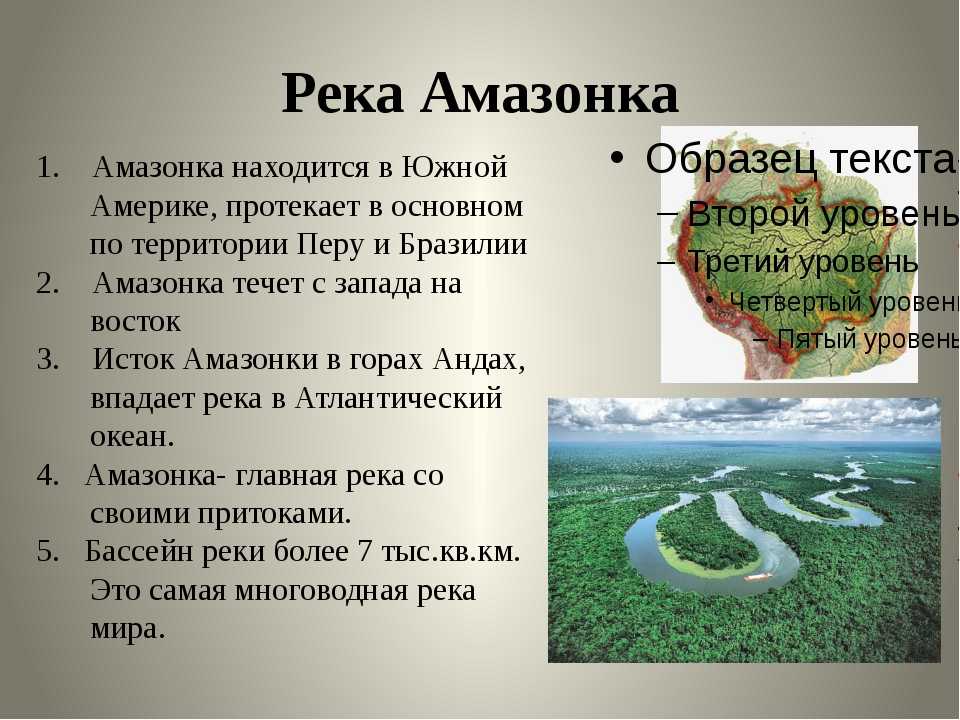 Река амазонка карта мира