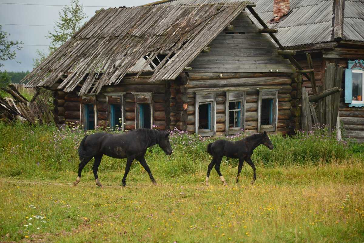 Что посмотреть в пушкинских горах и куда сходить – главные достопримечательности