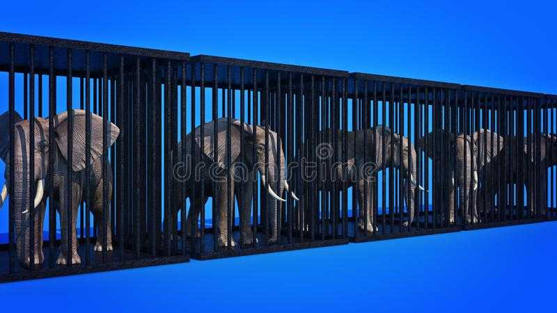 Cage the elephant — вики