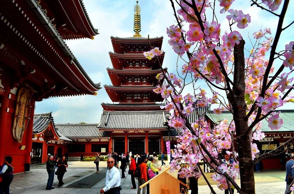 Туристический город токио: столица японии